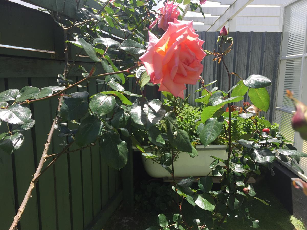 Cambridge Cottage - Self Catering Holiday House מראה חיצוני תמונה